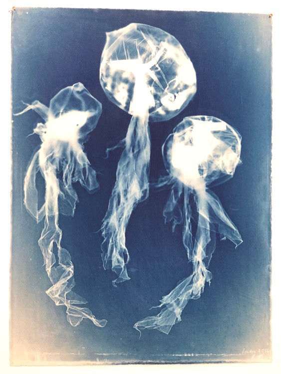 Rachel Thomson, Nott 2, 2016