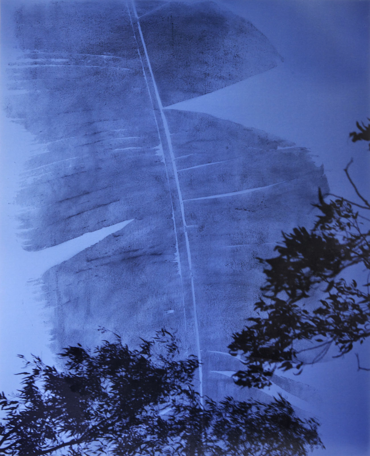 Douglas Mandry, After the Ashes #15, 2023