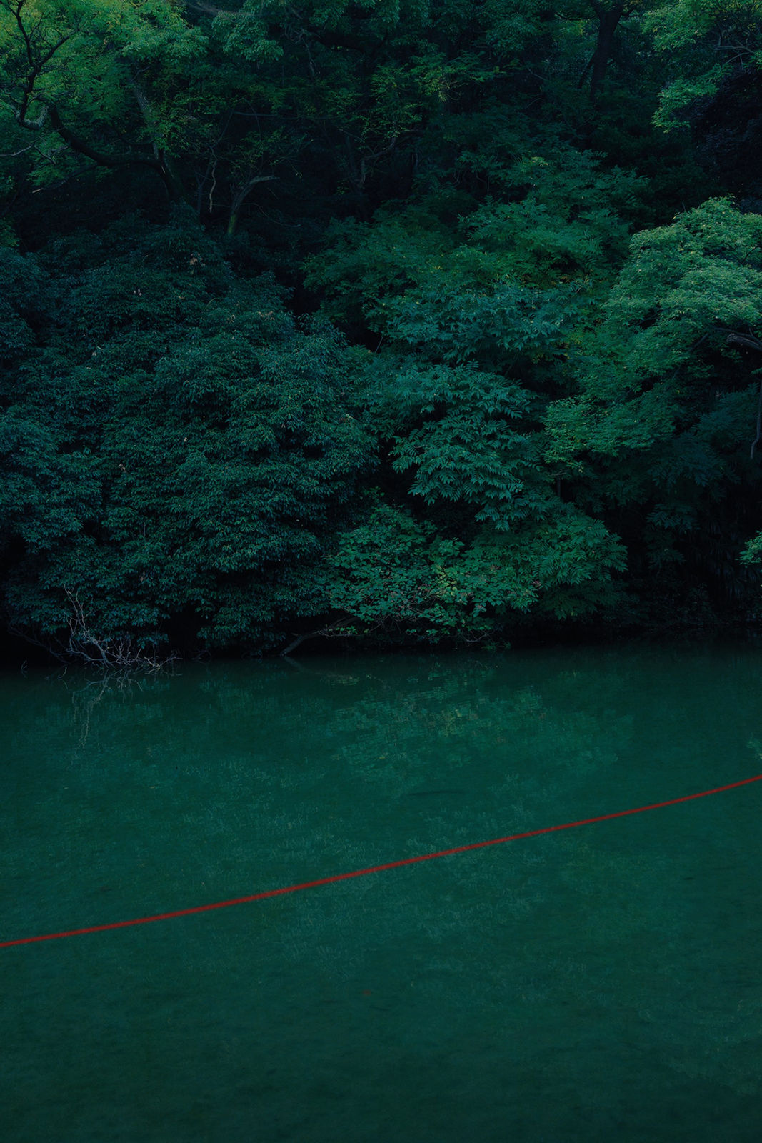 Albarrán Cabrera, The Mouth of Krishna #721, 2016