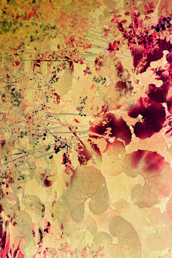 Albarrán Cabrera, The Indestructible #70021, 2018