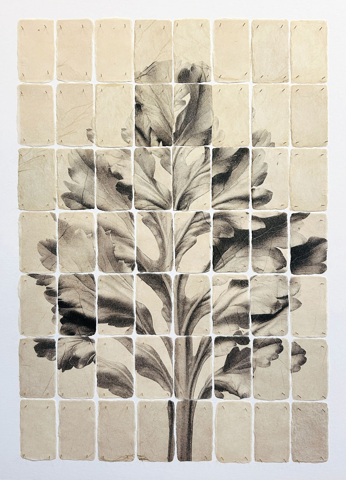 Joost Vandebrug, 26-20, 2026