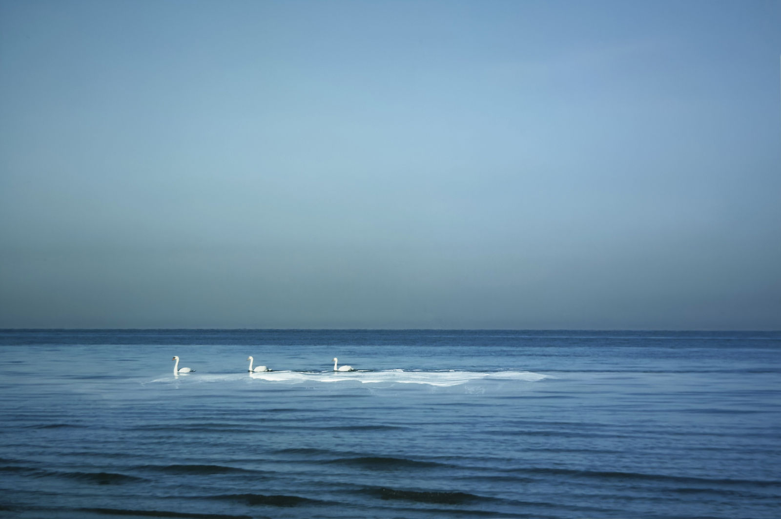 Amy Friend, When they - were three, from the series Timekeeper, 2025