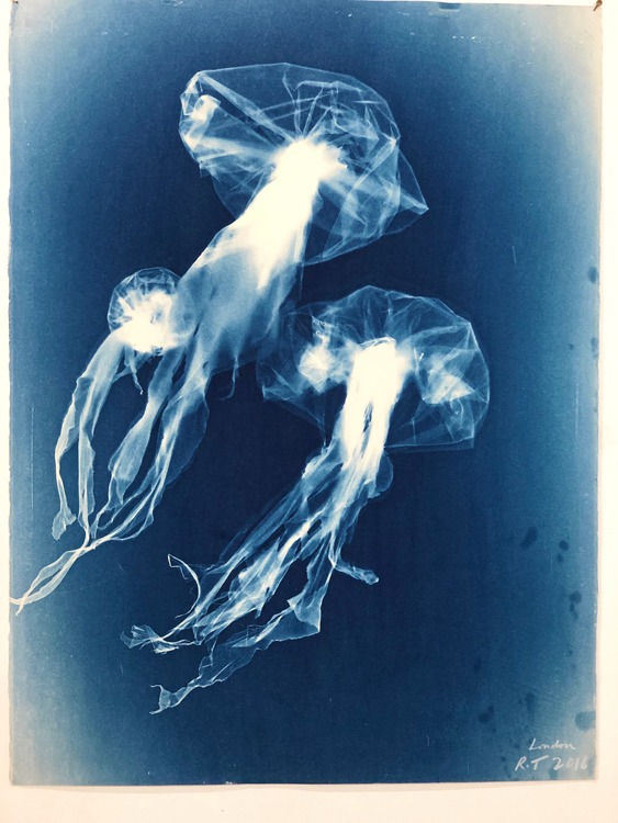 Rachel Thomson, Nott 5, 2016