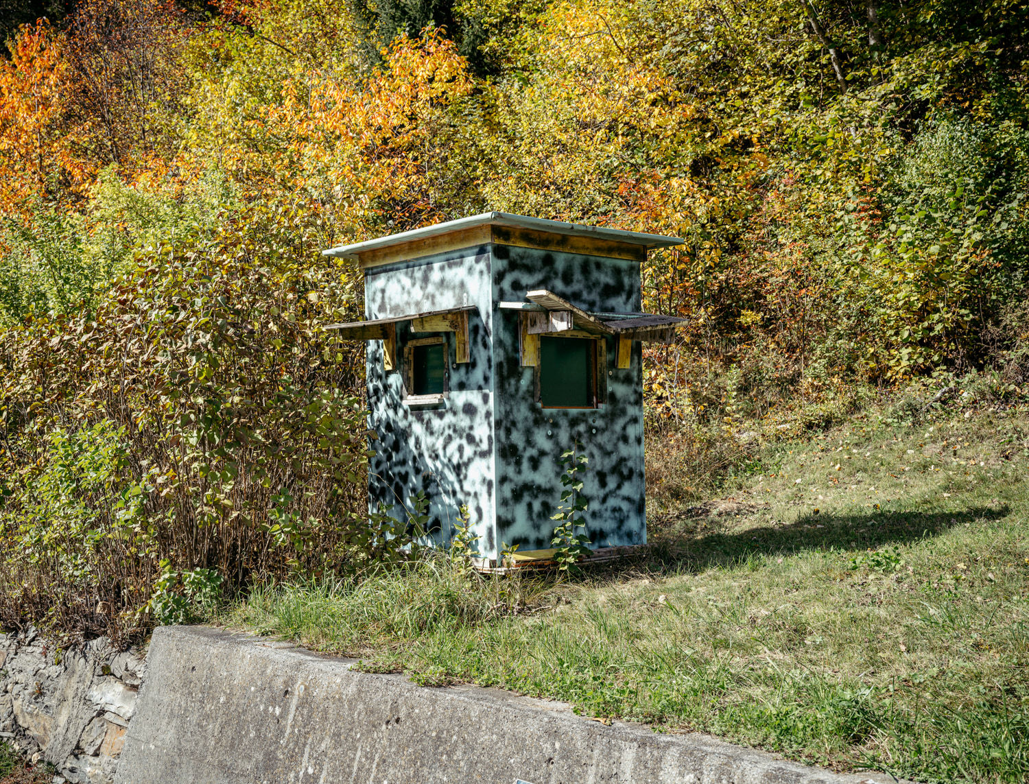 Bruno Augsburger, Camouflage II, 2024