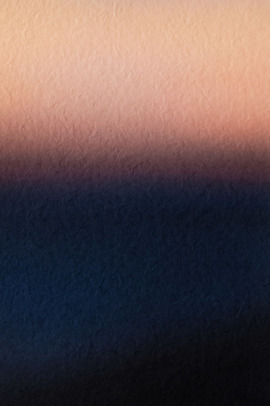 Onoko, Percept 6.20:53, France, 2022