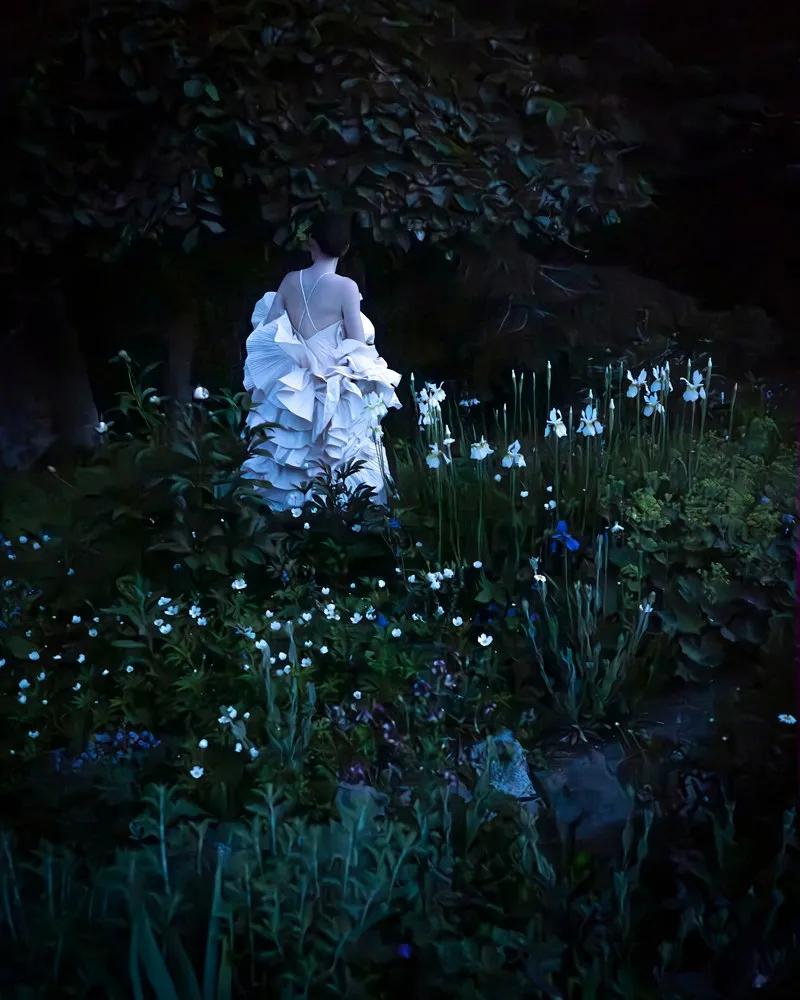 Cig Harvey, Irises, Rockport, Maine, 2024