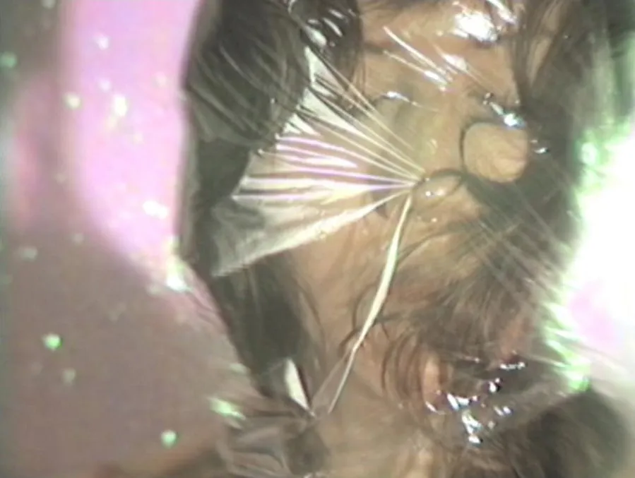 Erica Schreiner, BYE DAD, 2021