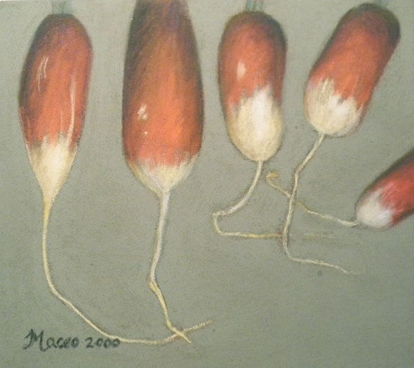 Maceo Mitchell, Radishes, 2000