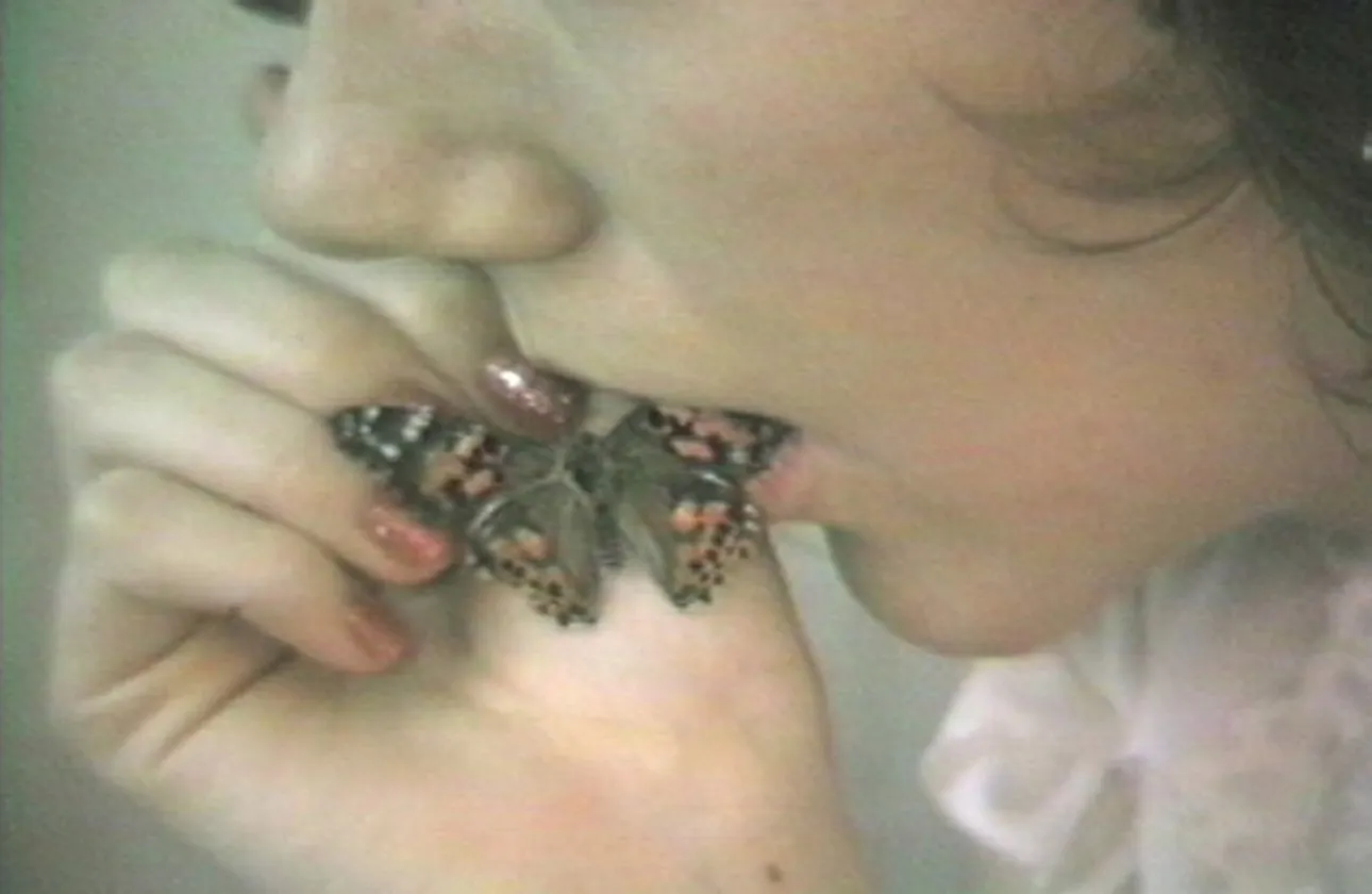 Erica Schreiner, Still from Erase, 2011