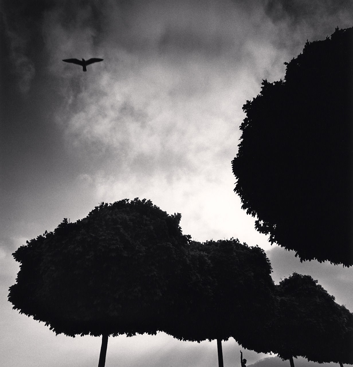 Michael Kenna, Following Directions, Zurich, Switzerland, 1993