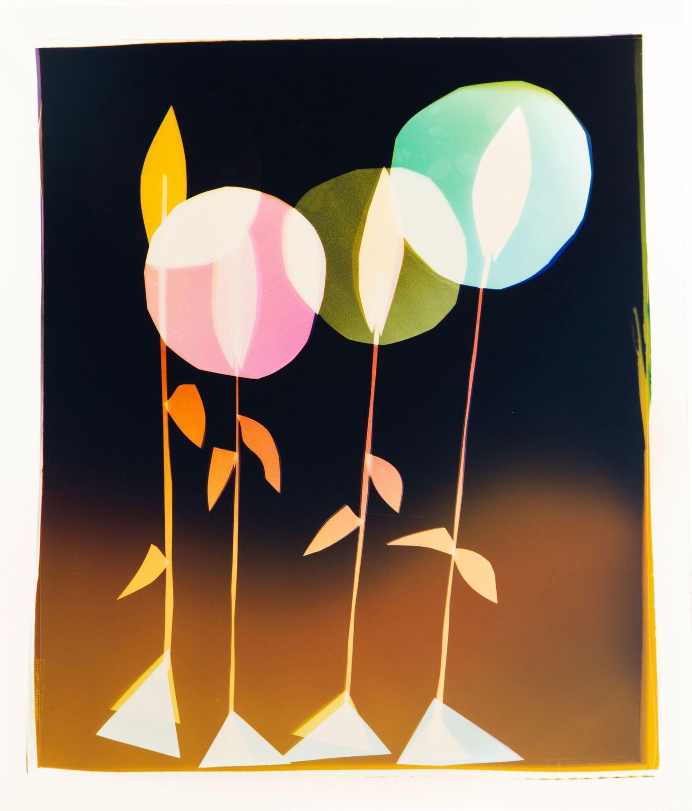 Liz Nielsen, Family Portrait Plant, 2025