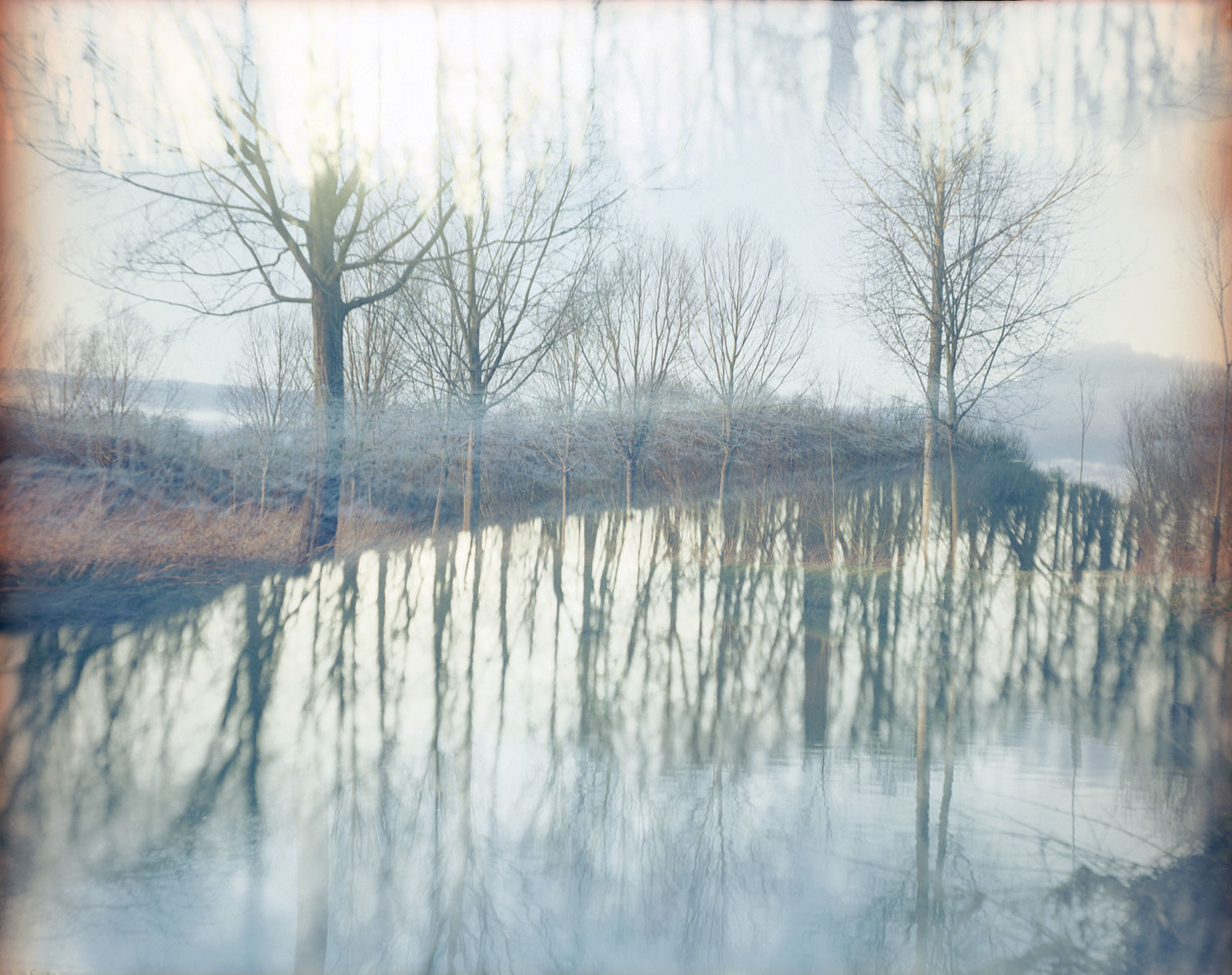 Steve Macleod, Sunne, 2014