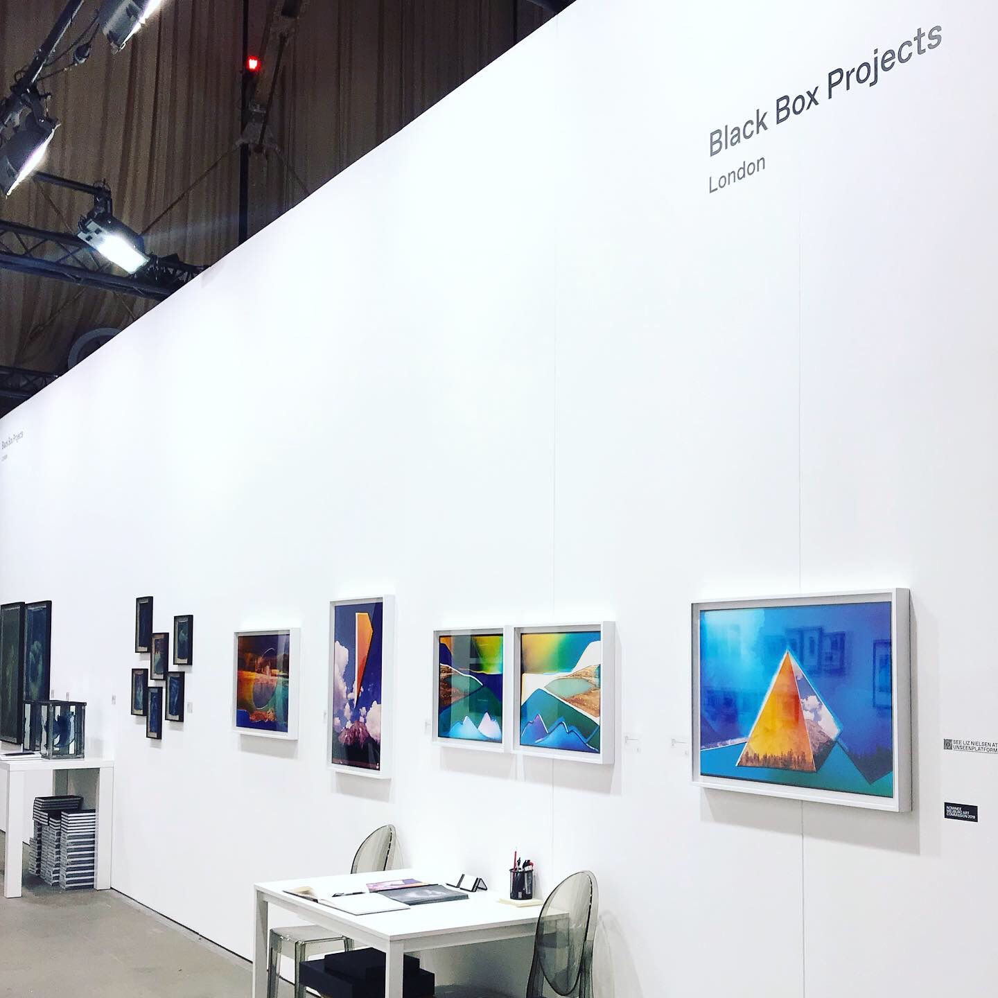 Liz Nielsen, Oasis II, 2019