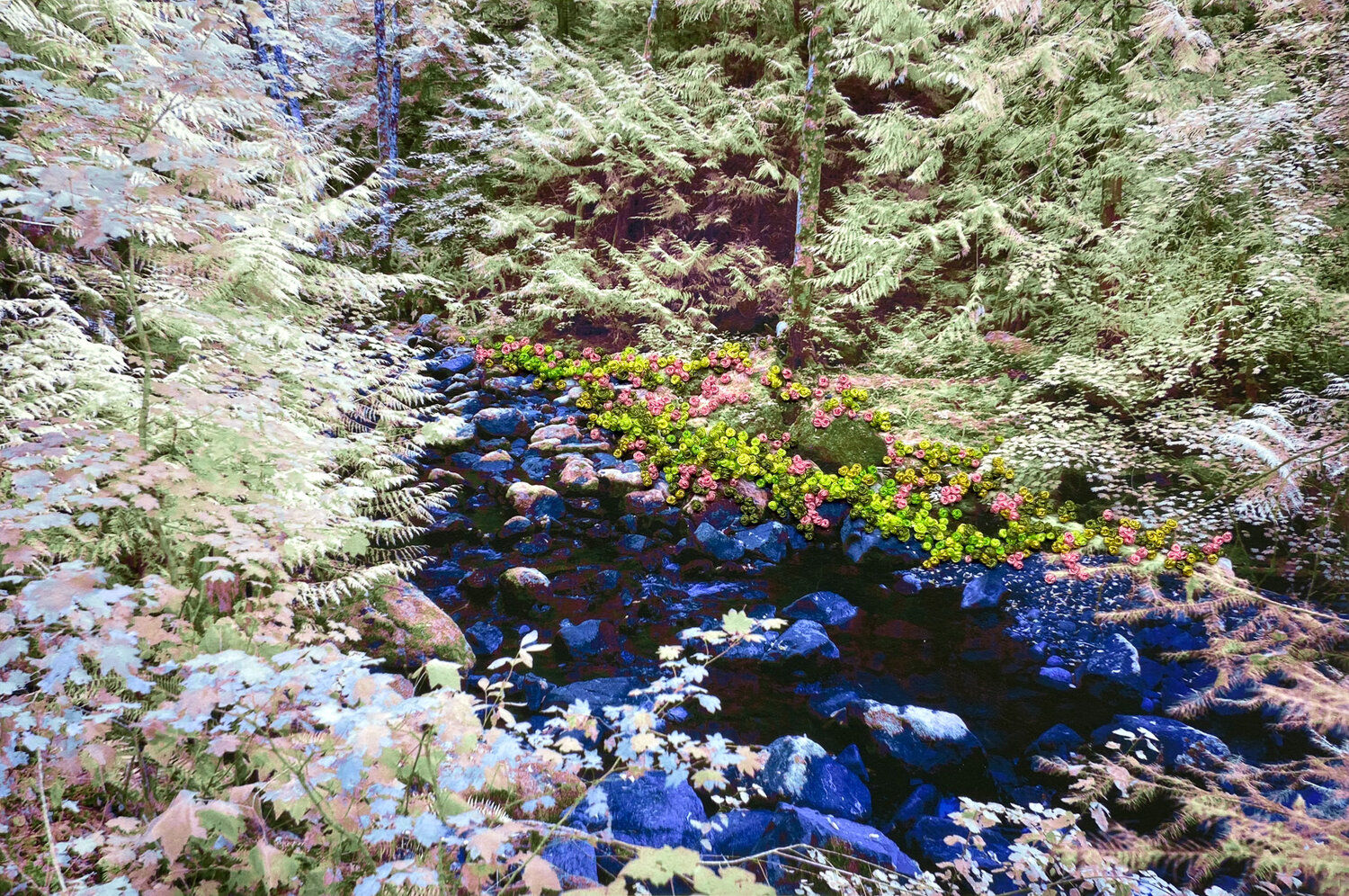 Adriene Hughes, The Secret Life of Trees I, Image #13, 2021