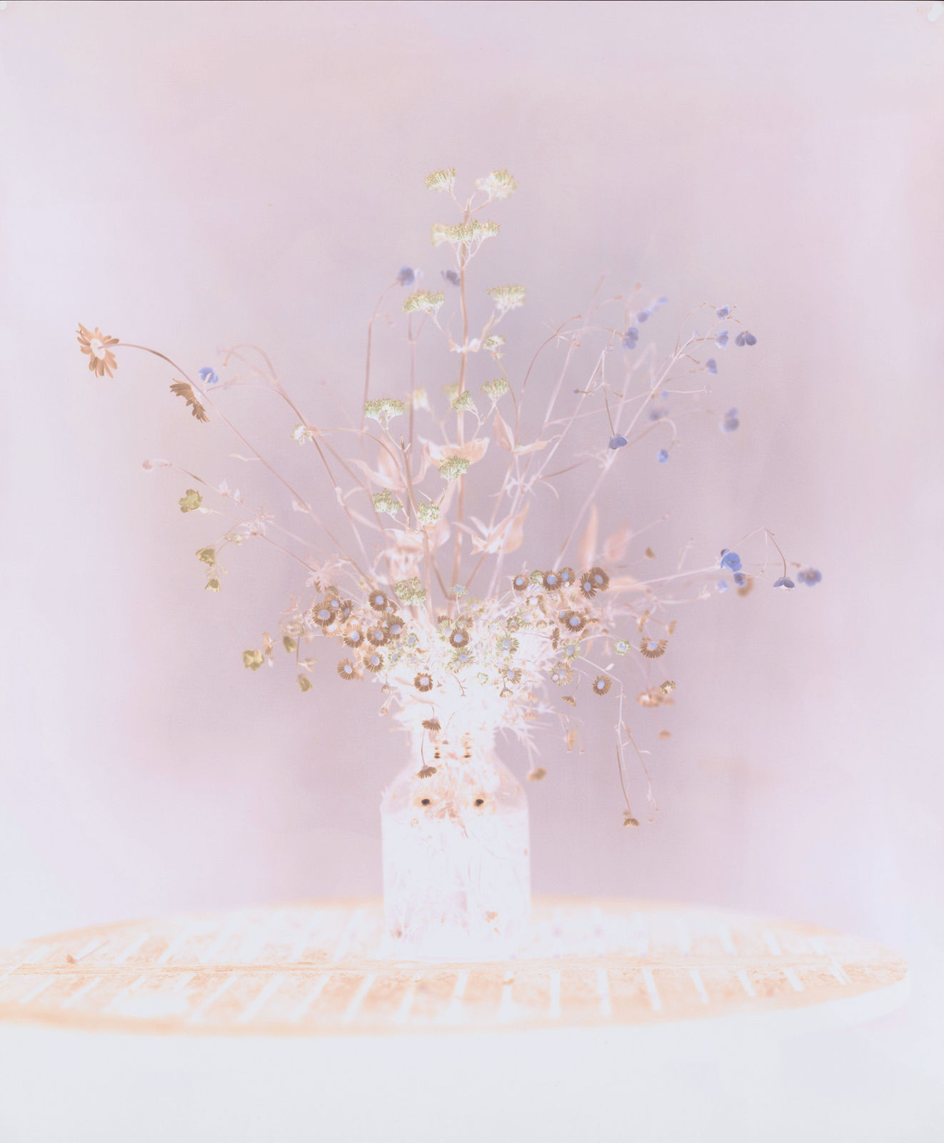 Brendan Barry, Erigeron, Ox Eye Daisy, Meadow Buttercup, Meadow Grass, Red Valerian & Wild Geranium, 2020