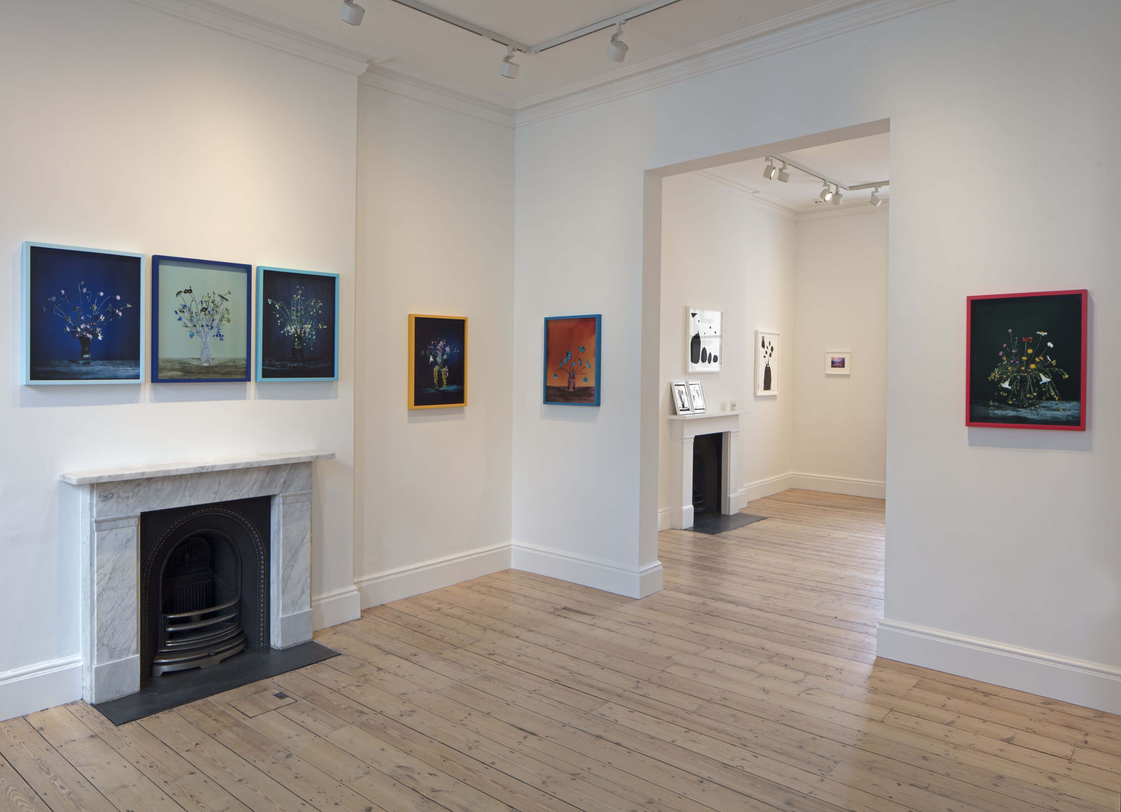 Brendan Barry, Field scabious & doves foot crane bill, 2020