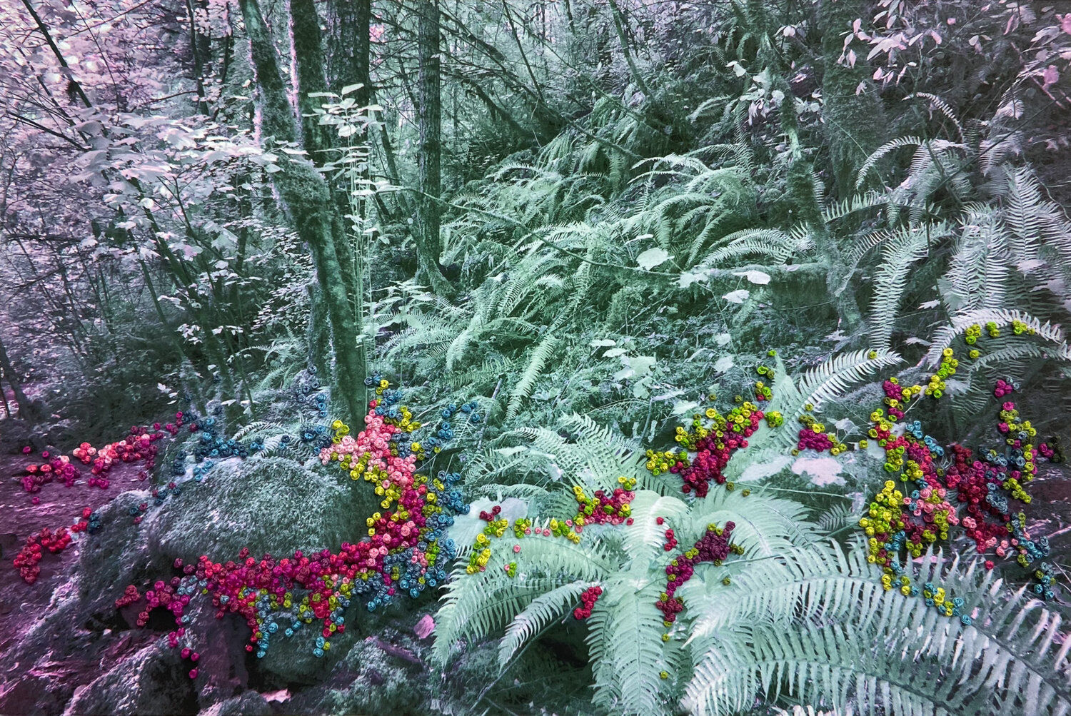 Adriene Hughes, The Secret Life of Trees I, Image #11, 2020