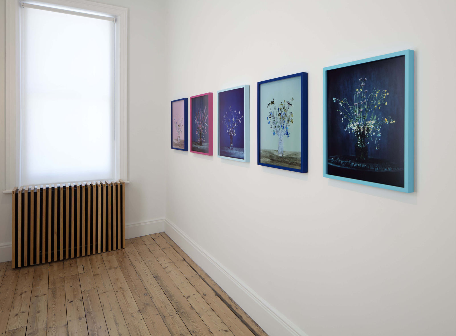 Brendan Barry, California poppy, common poppy, cornflower, dove’s-foot crane’s-bill, red campion & rosebay willowherb 2, 2020