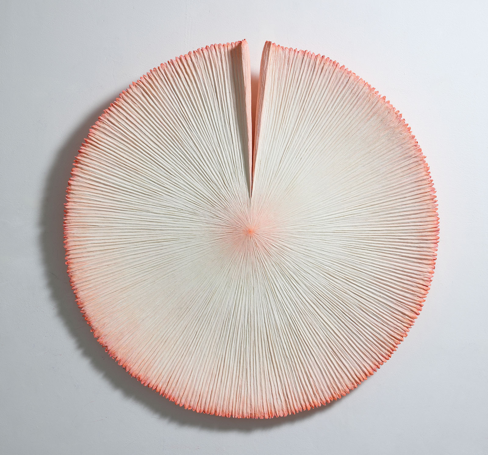 Heekyung Kim, Bloom 210919, 2021