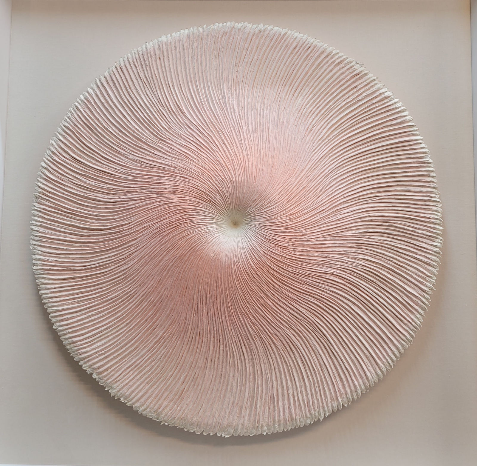 Heekyung Kim, Bloom 240105, 2024