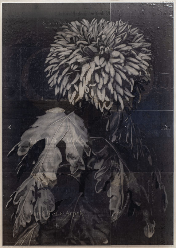 Martijn Hesseling, Flowers II - Debora