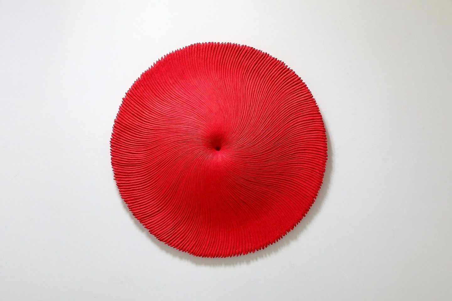 Heekyung Kim, Bloom 230308