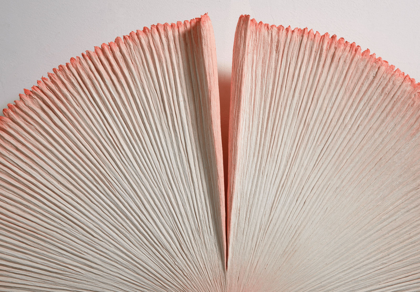 Heekyung Kim, Bloom 210919, 2021