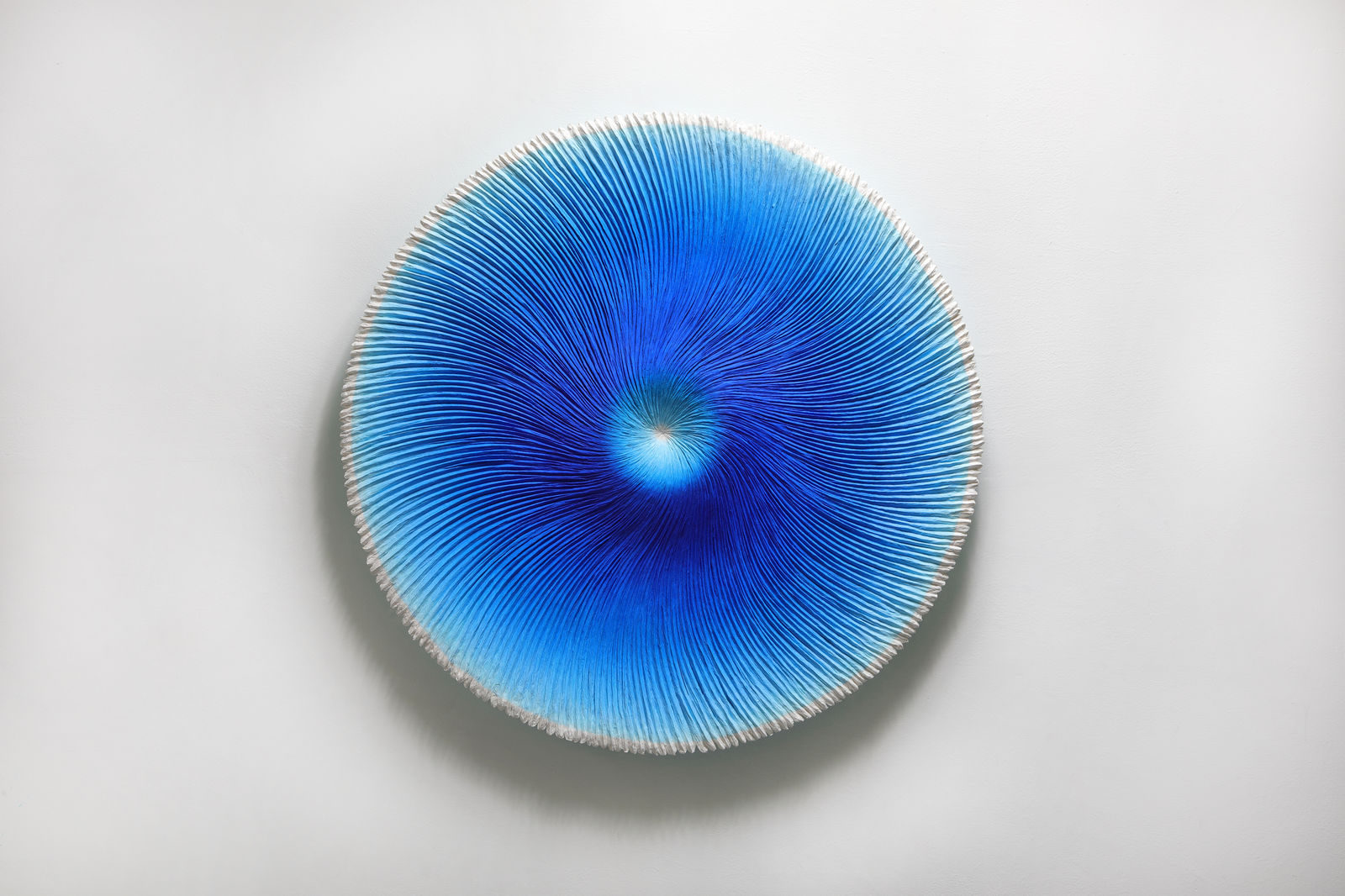 Heekyung Kim, Bloom 230407