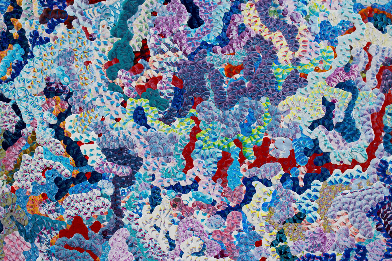 Gregory Hayes, 5th Amalgamation