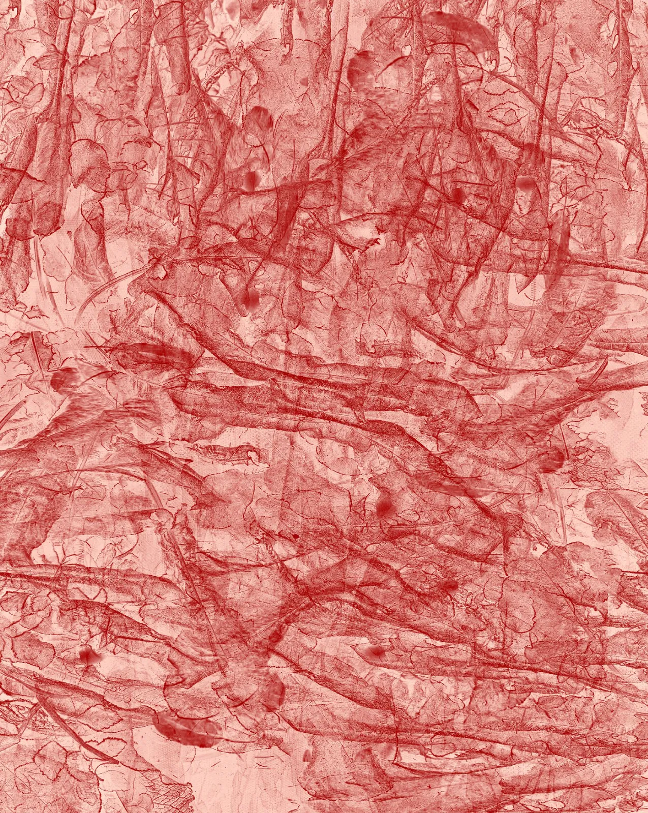 Pascal Grandmaison, Transparence rouge, 2021