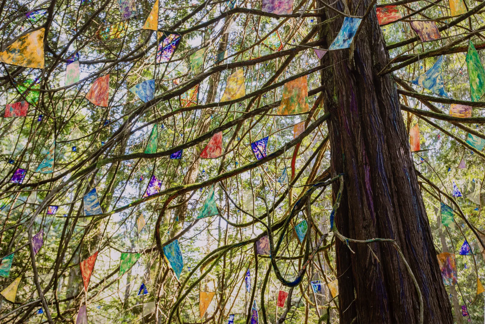 Sarah Anne Johnson, Road Runner, 2026