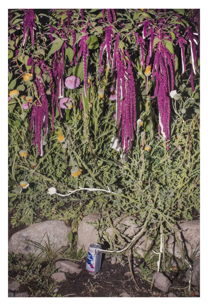 Sarah Anne Johnson, Hanging Flowers and Blue Ribbon, 2015