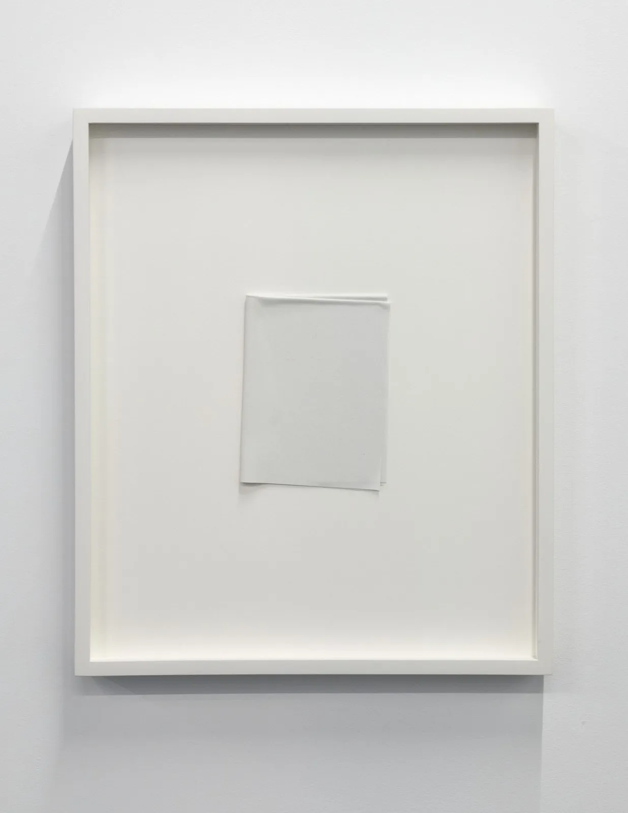 Tammi Campbell, Paper Series 06, 2016