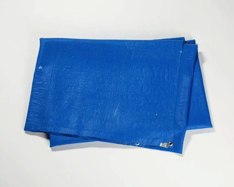 Tammi Campbell, Tarpaulin (Poly-Tarp Blue) with Duct Tape, 2017