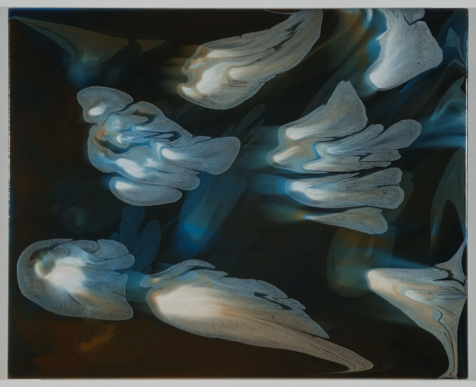 François Lacasse, Pétales fuyants XIV, 2019