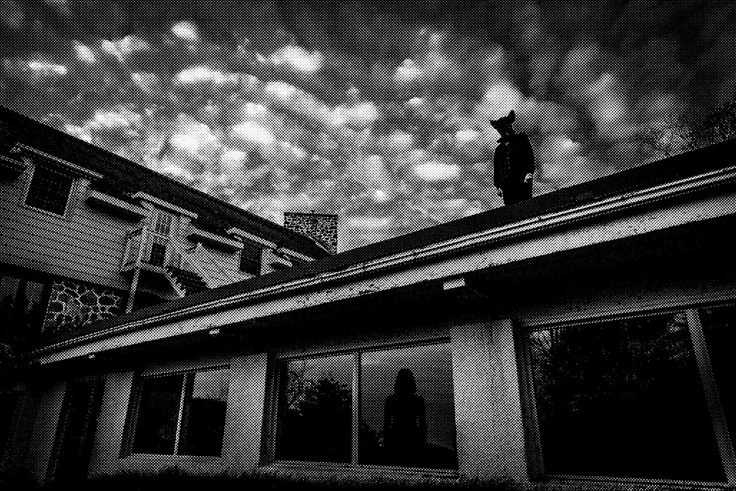 Bonnie Baxter, rat on roof, 2016