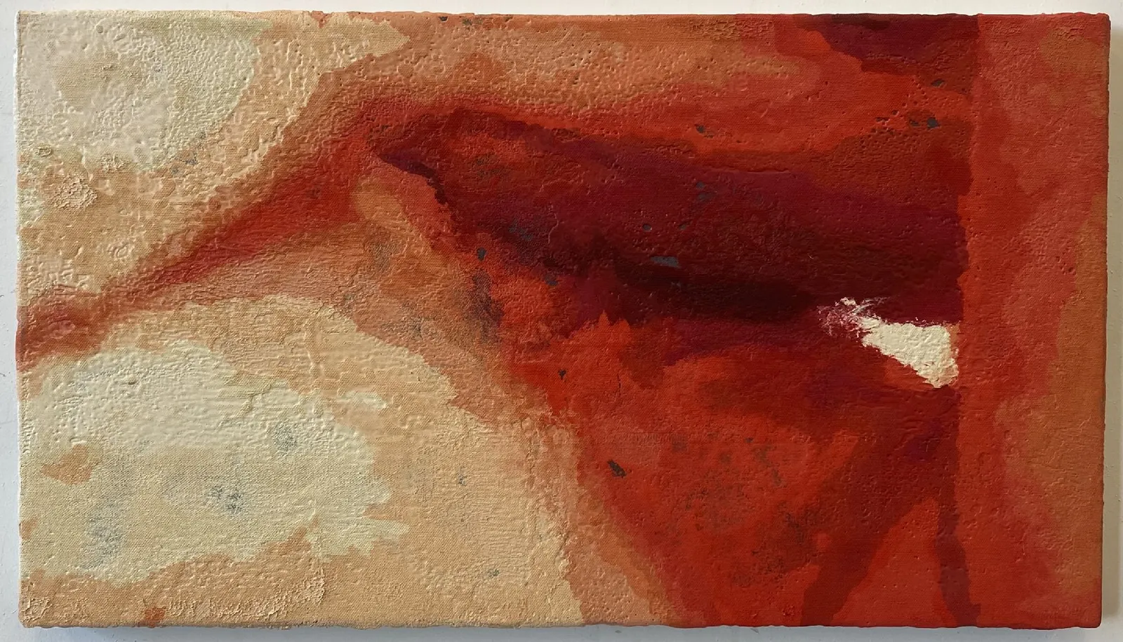 Nicolas Lachance, IMG_2280.JPG, 2024