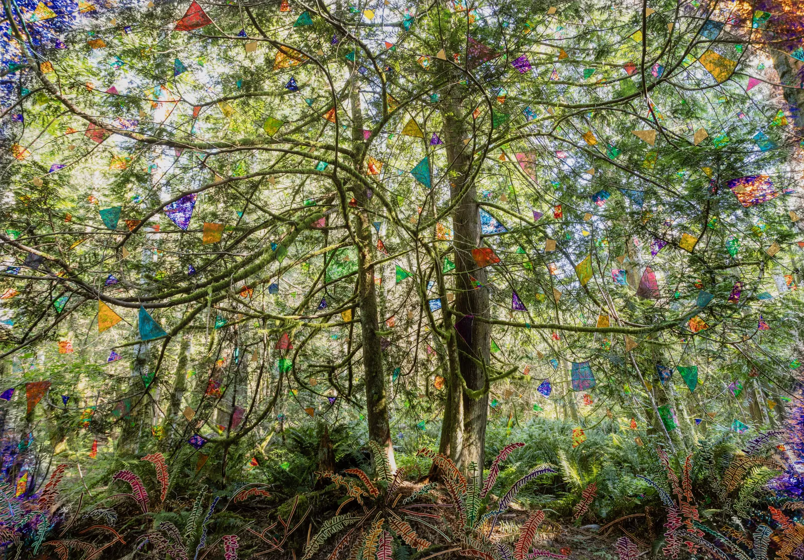 Sarah Anne Johnson, Twister, 2026