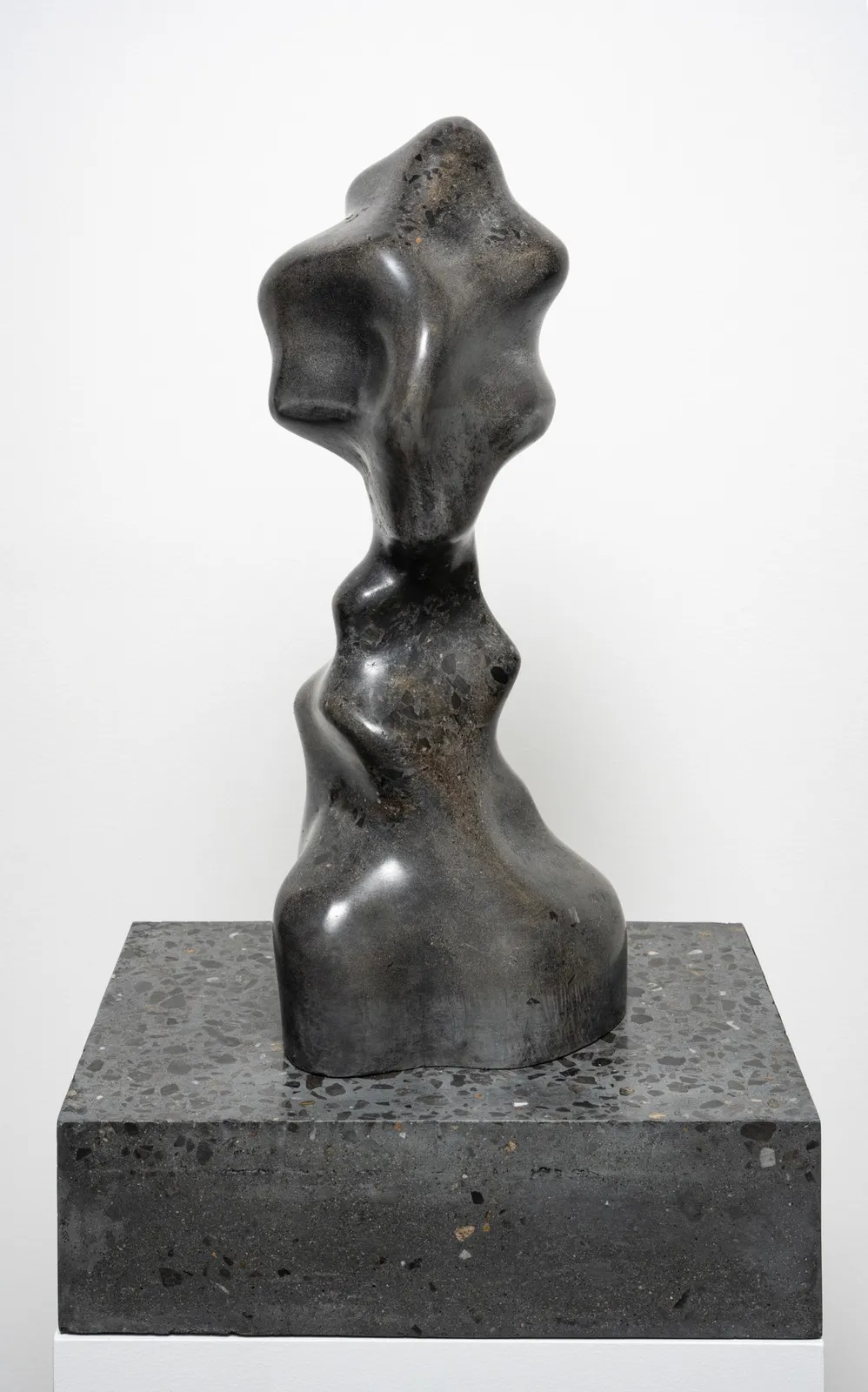 Michel de Broin, Tête qui fume 354 / Smoke head 354