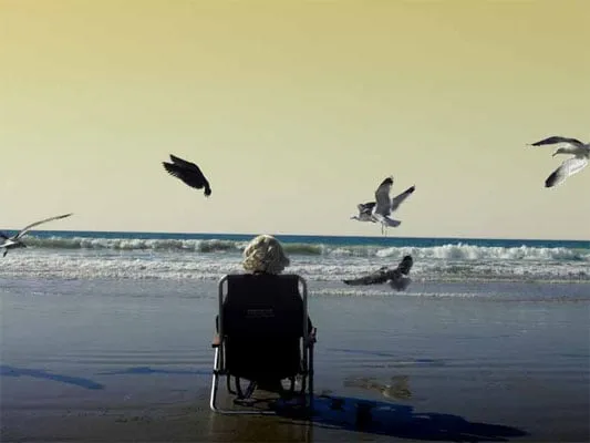 Bonnie Baxter, Monarch Beach III, 2009