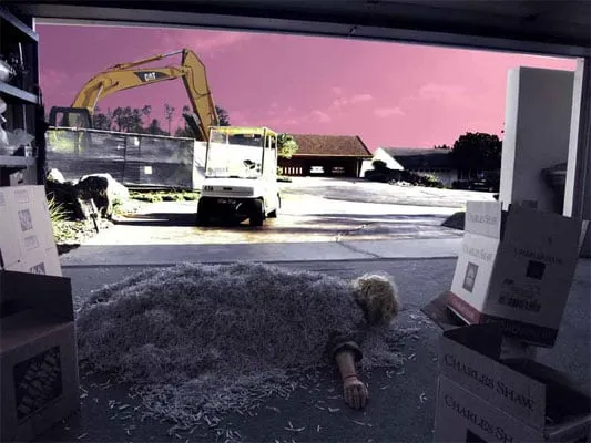 Bonnie Baxter, Film Noir en Rose II, 2009