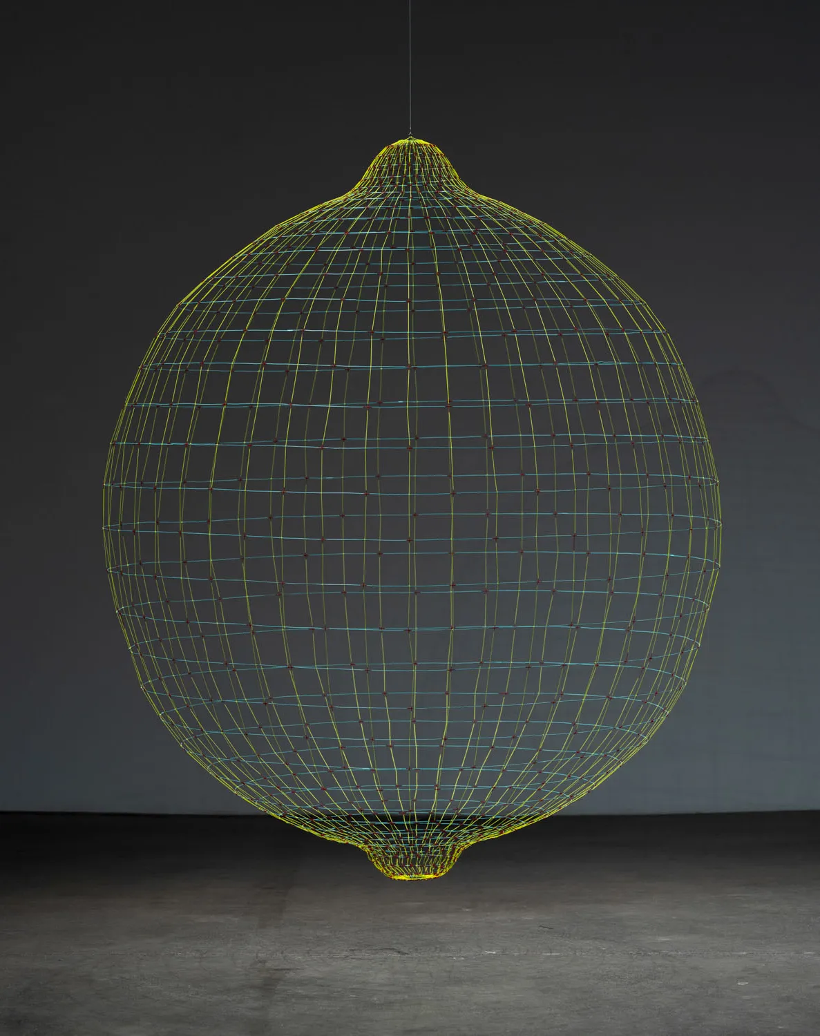 Sarah Stevenson, Citron, 2023