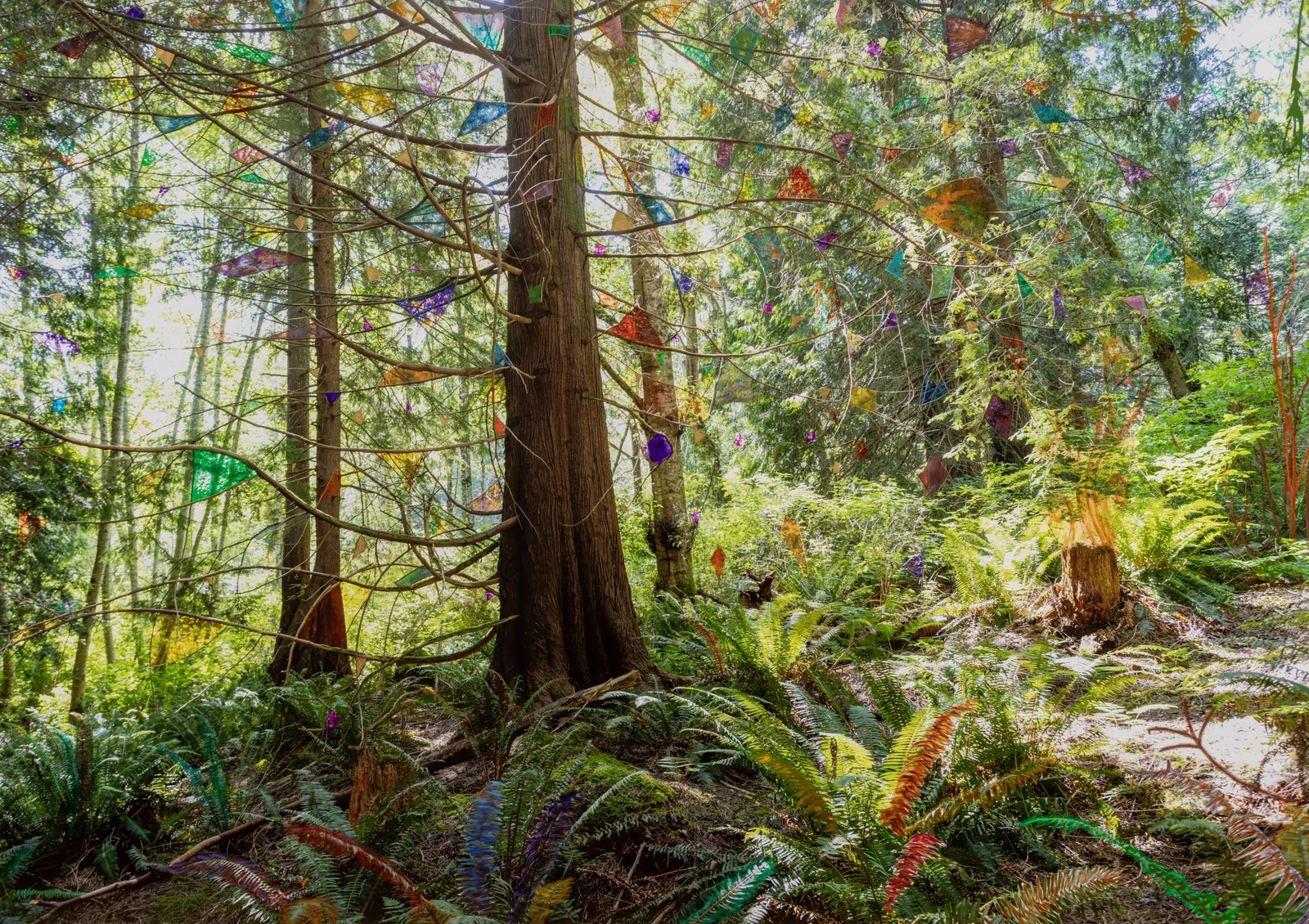 Sarah Anne Johnson, Play Time (Forest), 2026