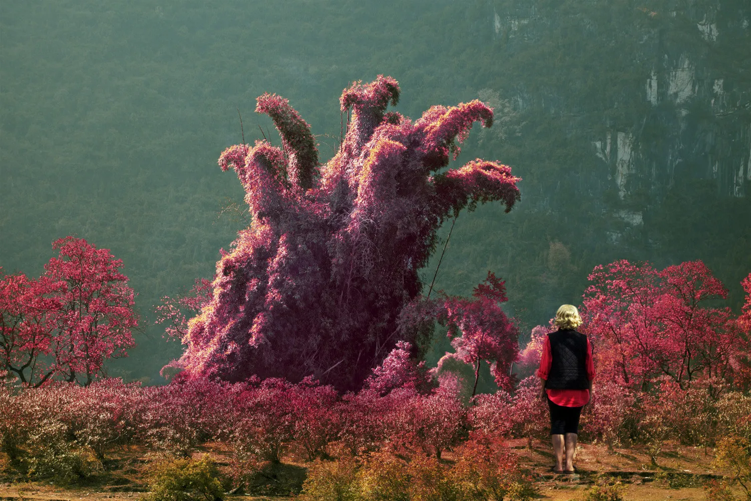 Bonnie Baxter, Guilin, 2011