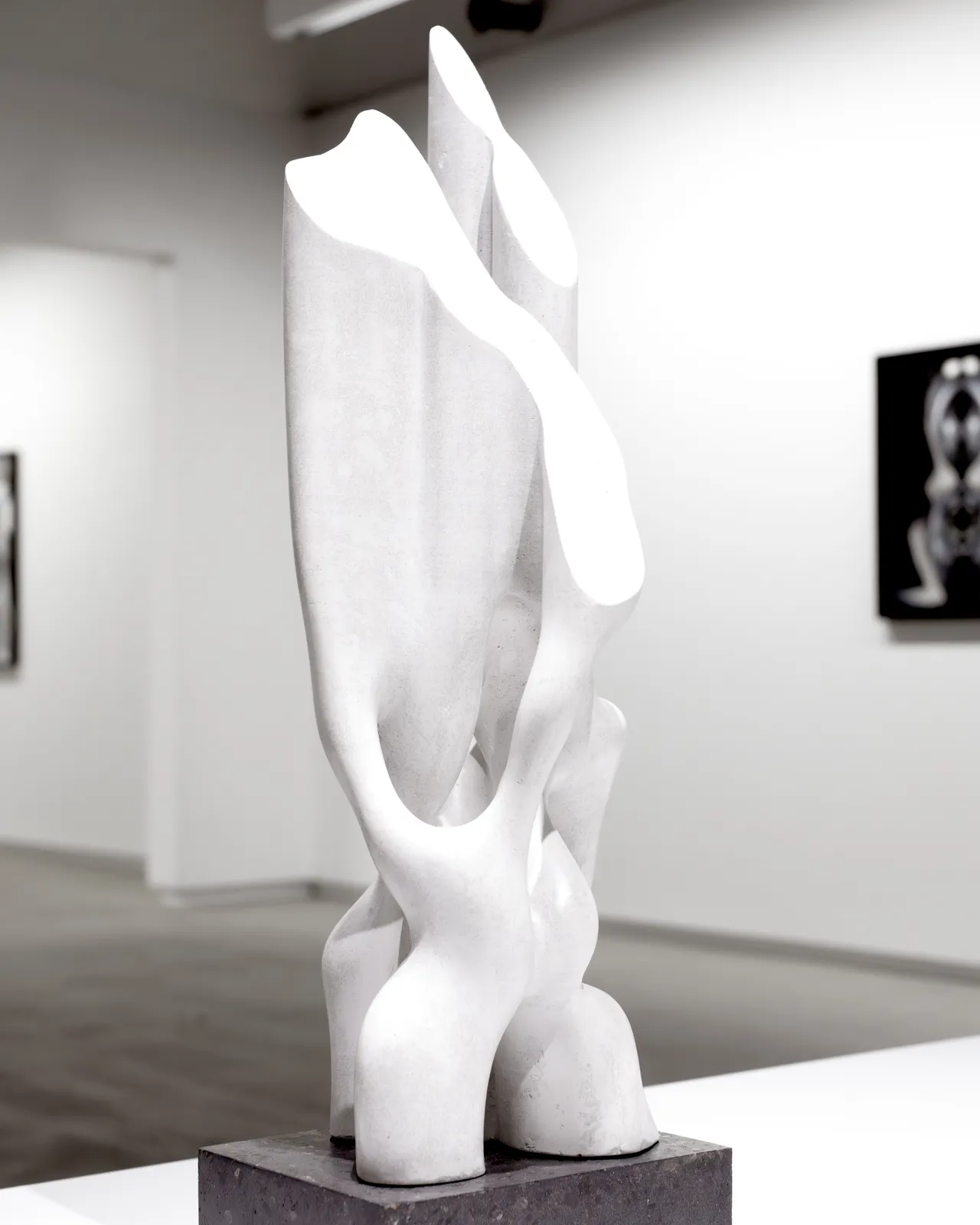 Michel de Broin, Résurgence 365 / Resurgence 365, 2025