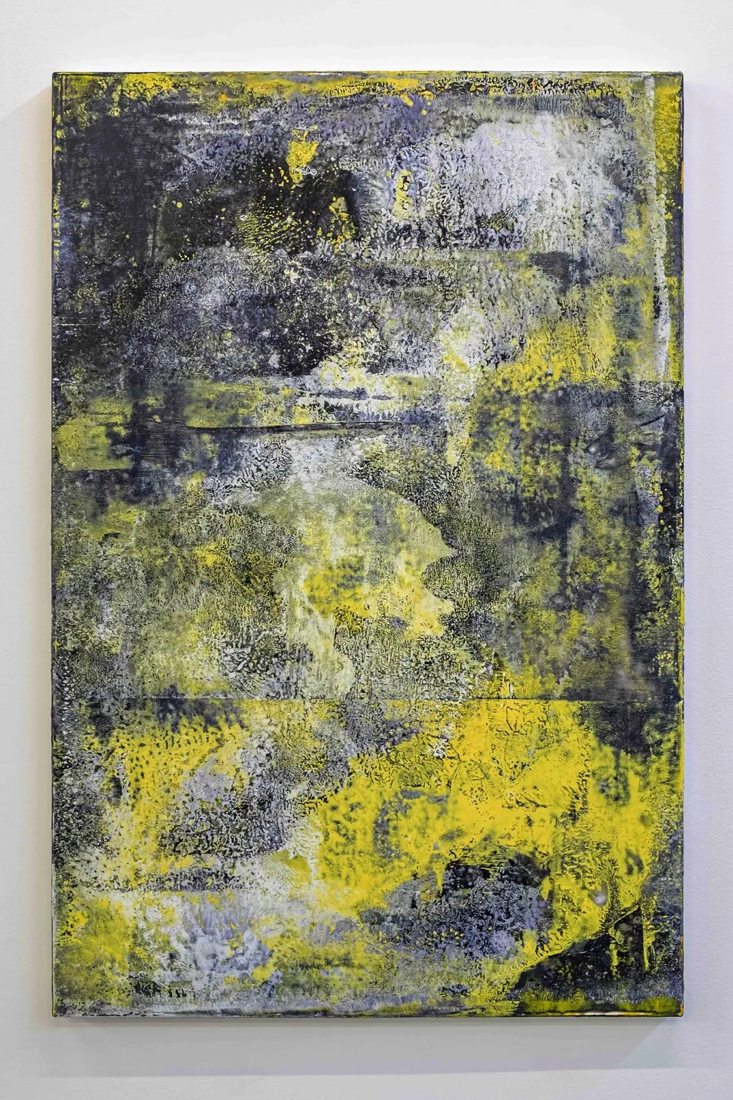 Nicolas Lachance, Plex.D, 2019