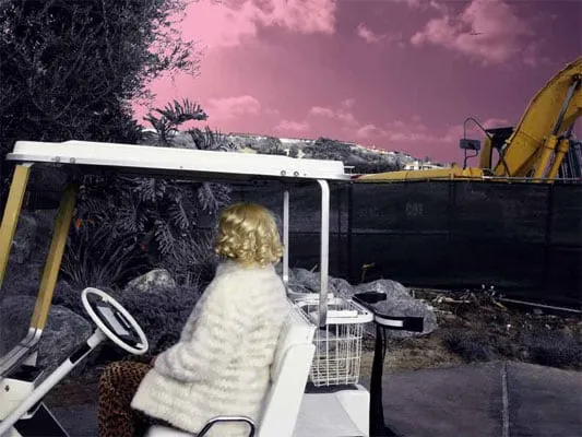 Bonnie Baxter, Film Noir en Rose III, 2009