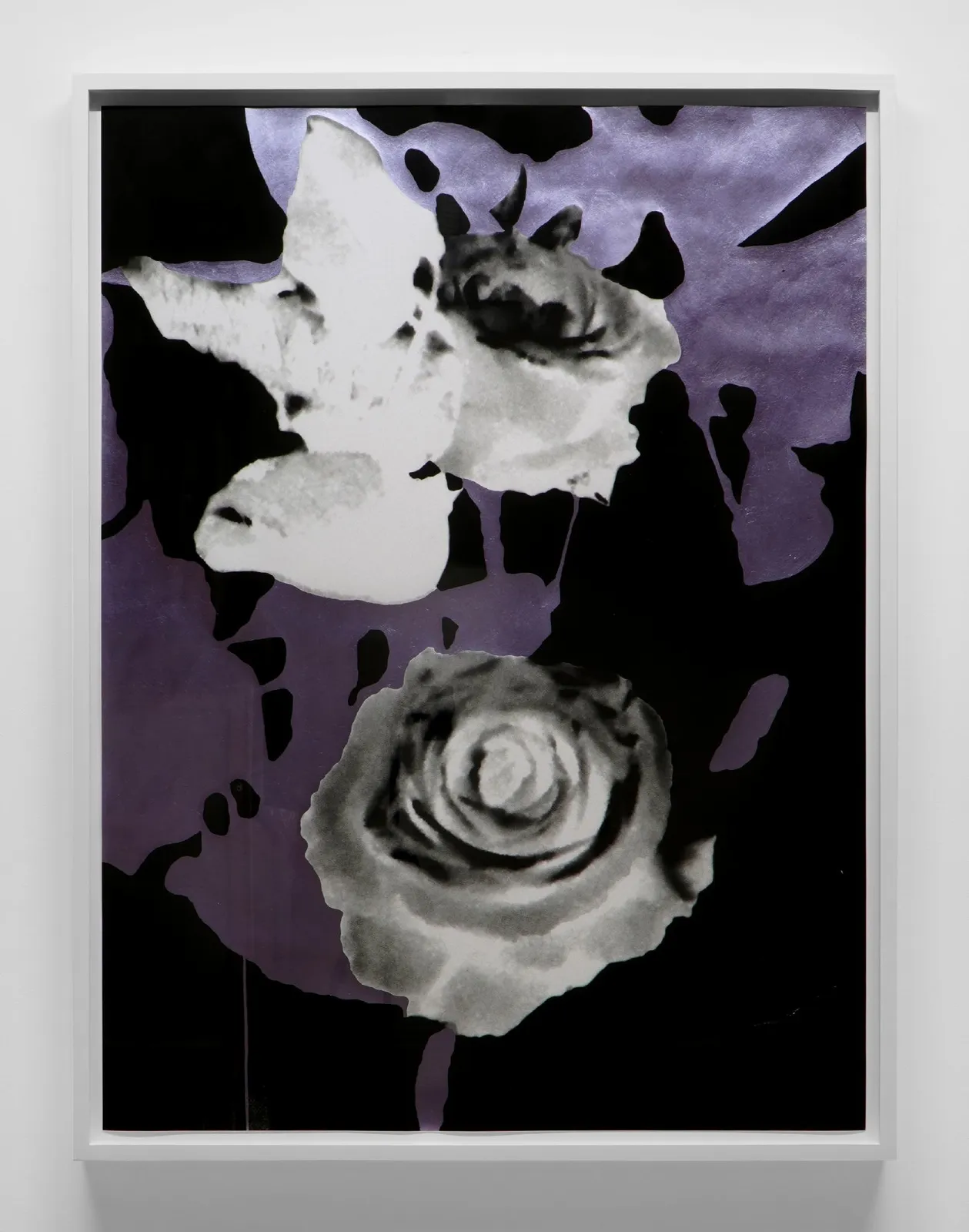 Geneviève Cadieux, Grande rose (lavande), 2024