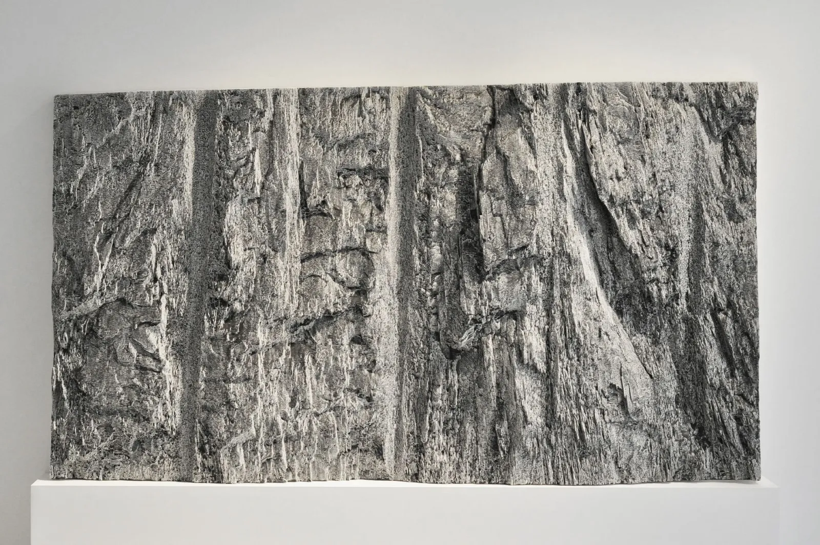 Patrick Coutu, Roche-mère, 2019