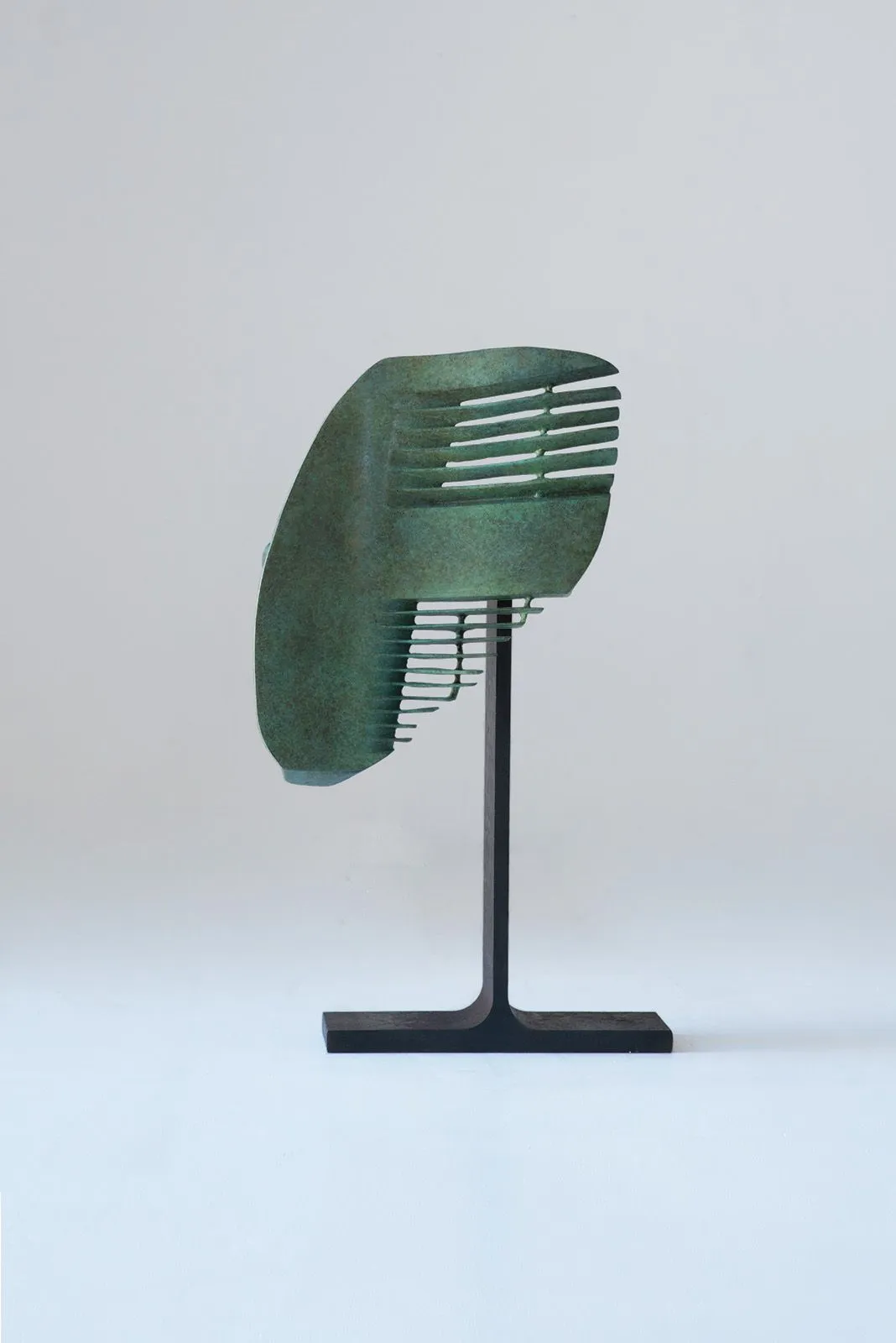 An Te Liu, Martin, Ed. 1 of 3 + 1 AP, 2022